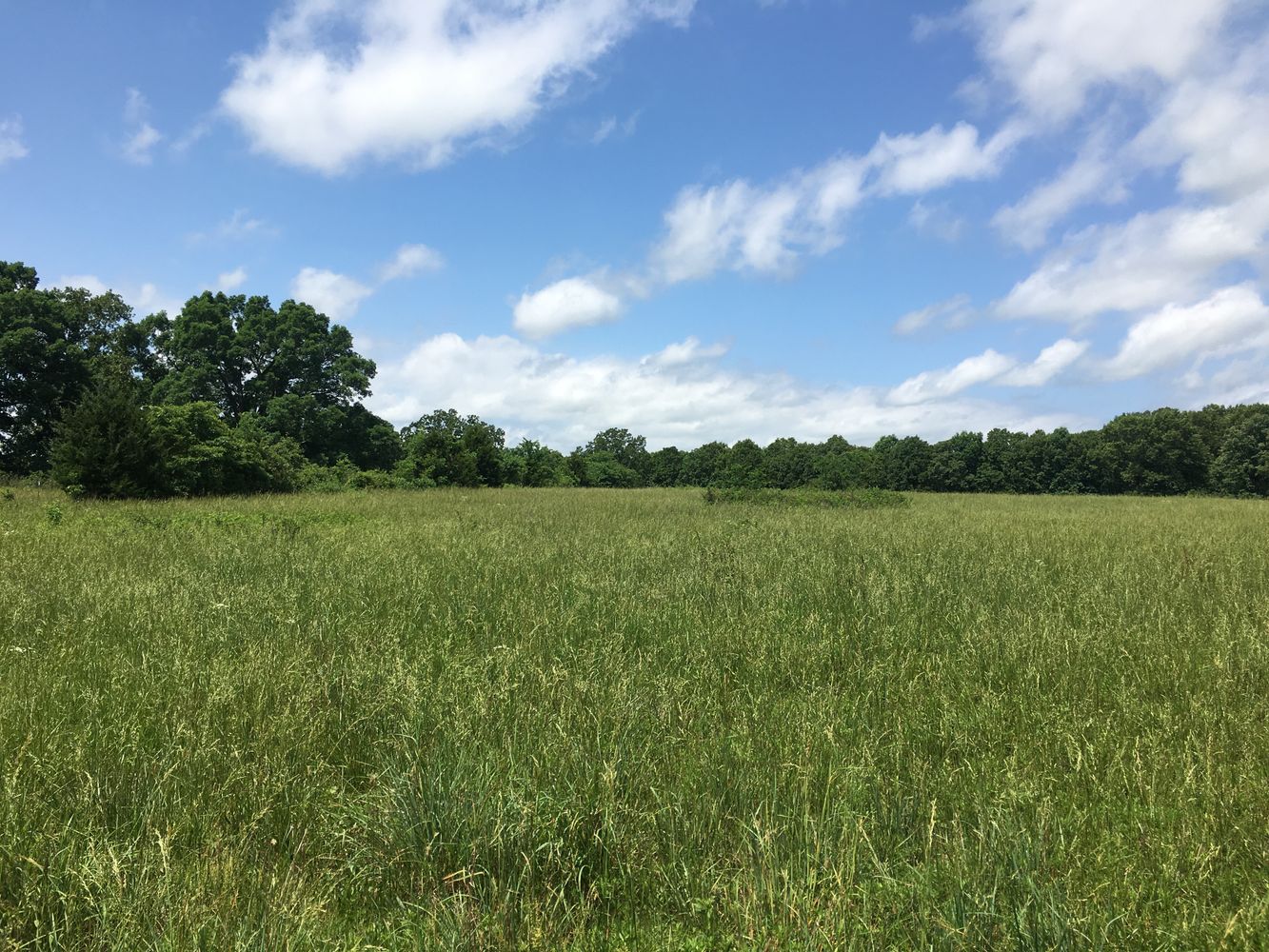 4897 & 4878 Norman Drive, Hartville, MO 65667